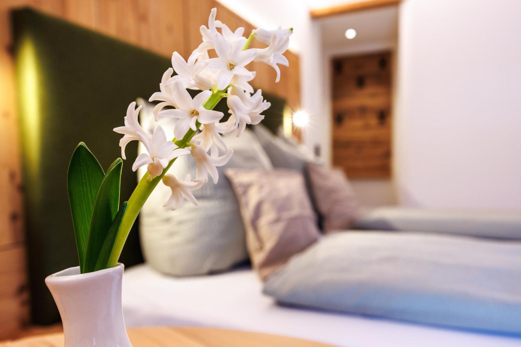 Haus Huis'N グライナウ エクステリア 写真